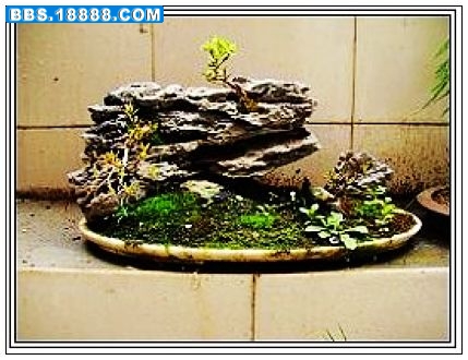 DSC01209_nEO_IMG_nEO_IMG_nEO_IMG.jpg