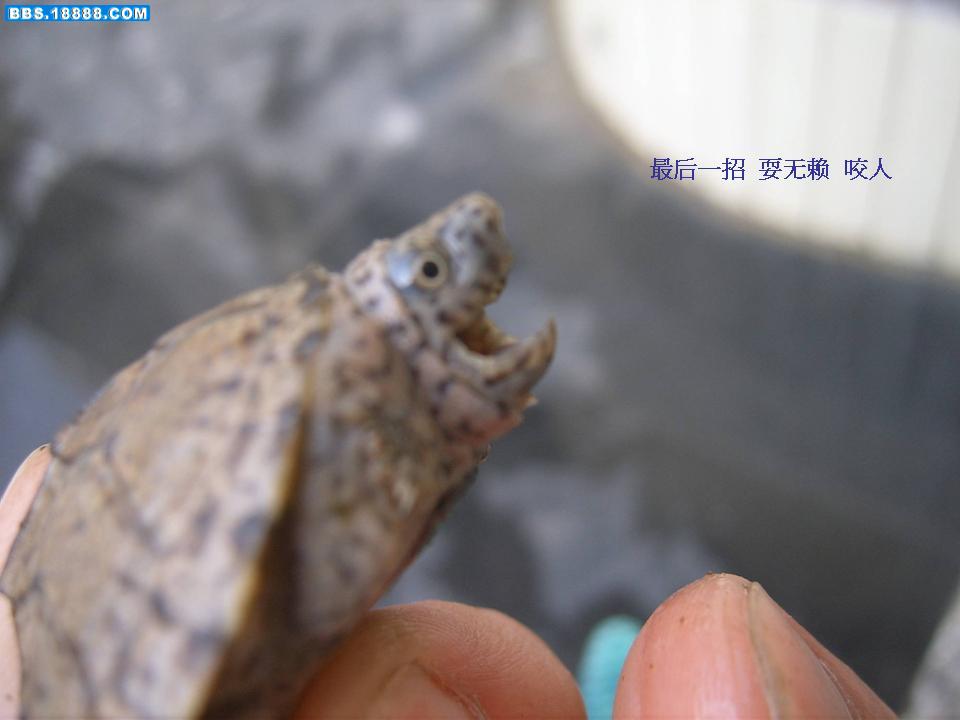 幻灯片12.JPG
