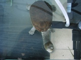 DSCN2147.JPG