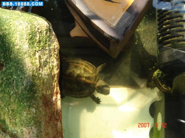 DSC02835.JPG