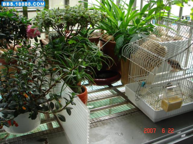 DSC02757.JPG