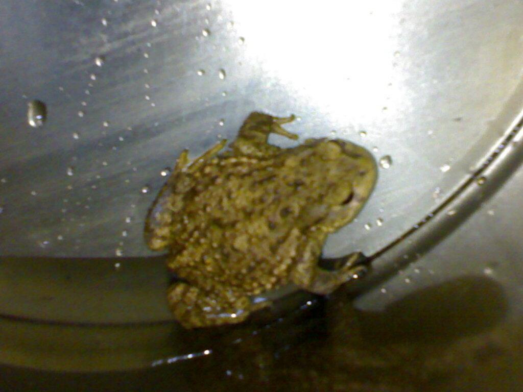 20070818605.jpg