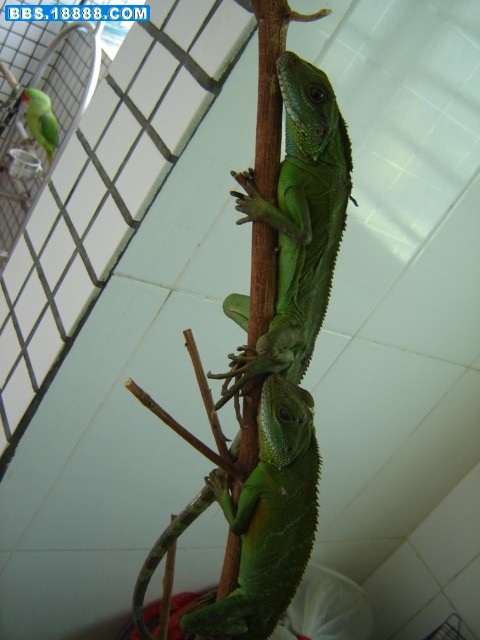 DSC03386-压缩结果.JPG