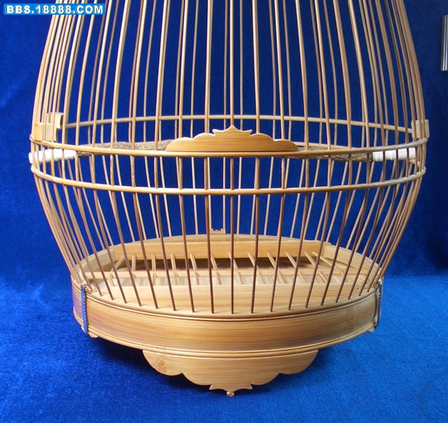 照片 570.jpg