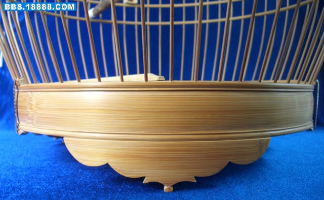 照片 579.jpg
