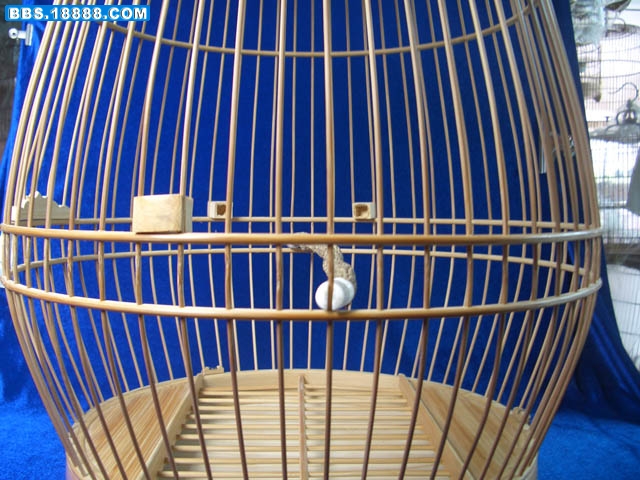 照片 568.jpg