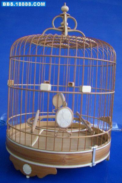 太阳牙2.jpg