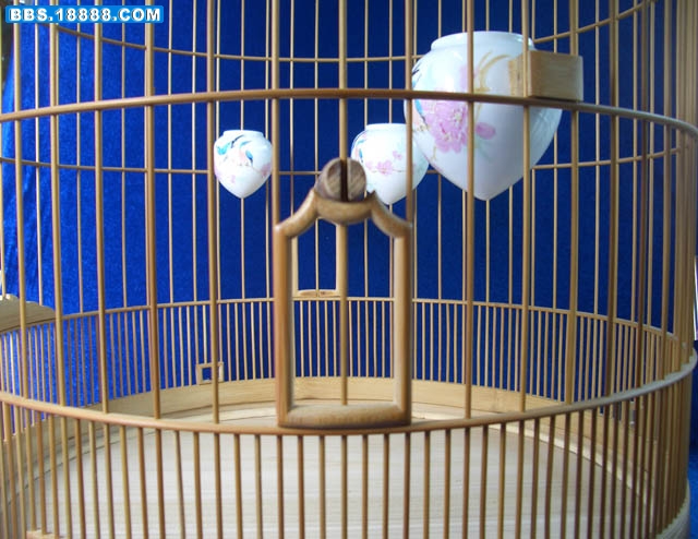 照片 009.jpg