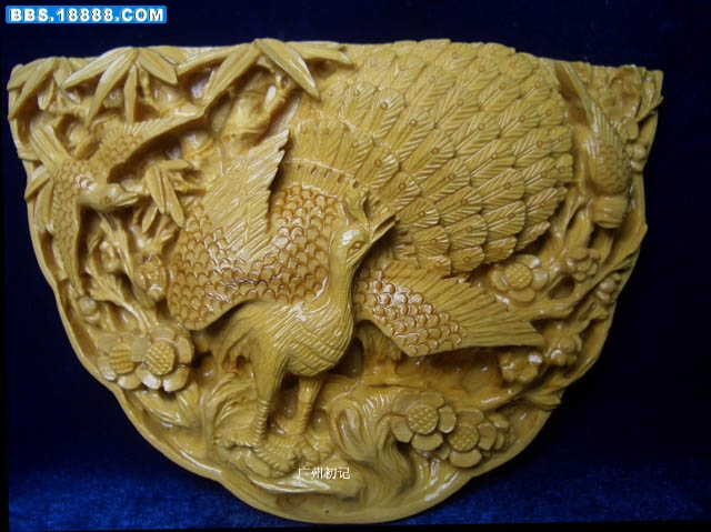 照片 010副本.jpg