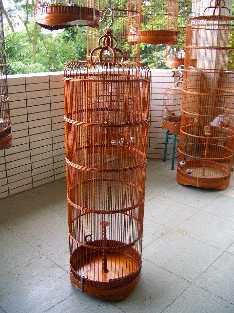 山麻3.jpg