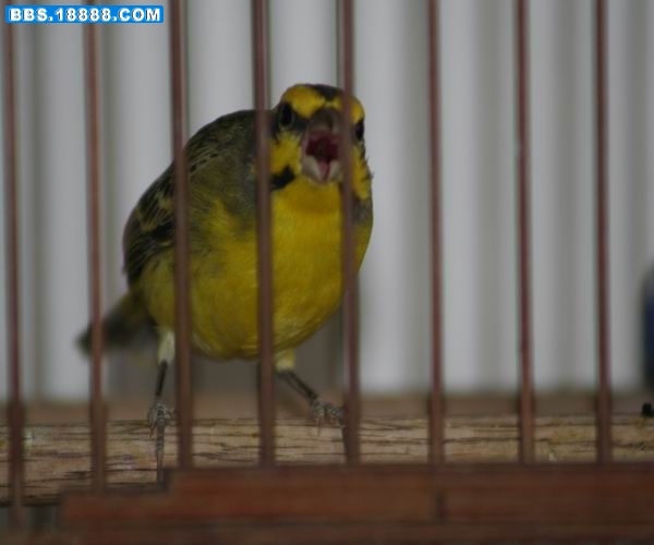 调整大小 IMG_2471.JPG