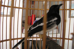 P1010011.jpg