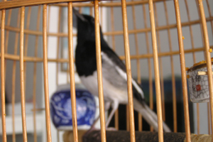 P1010008.jpg
