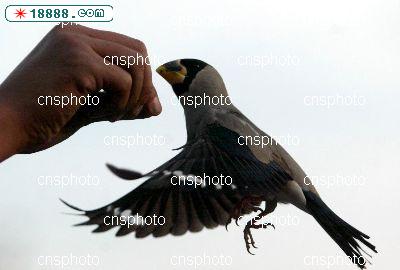 051031114fa_2.jpg