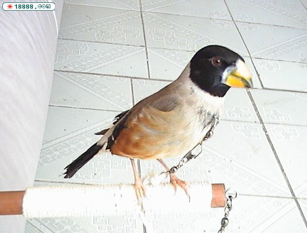 DSC01425.JPG