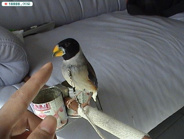 DSC01416.JPG