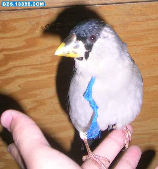 DSCN2035.jpg
