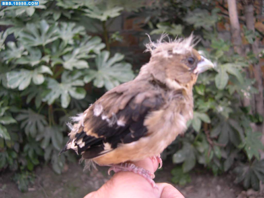 DSCN0075.JPG