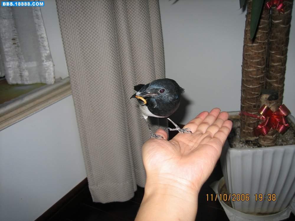 IMG_0553.JPG