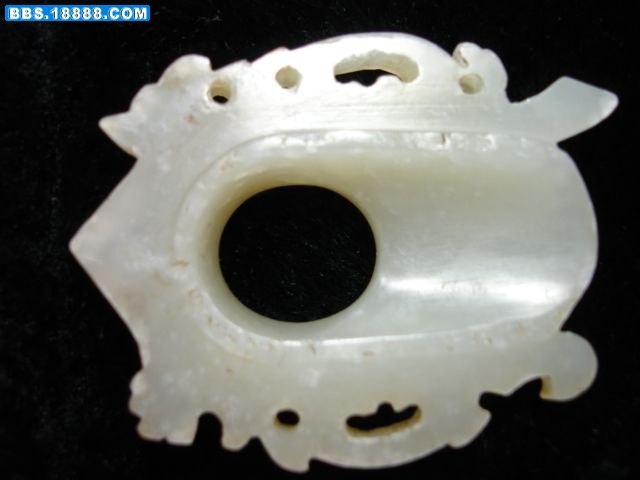 39564.734471875_DSC01308.JPG