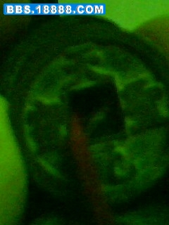 IMG0074A.jpg