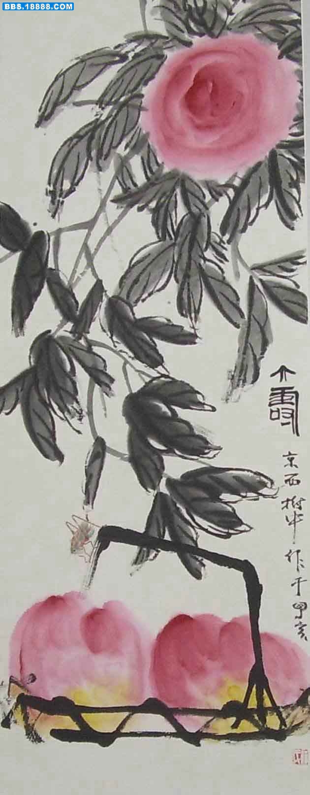 STA43062.jpg