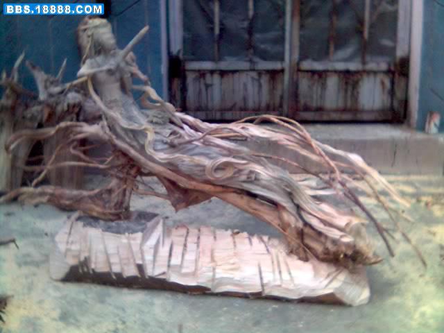 09-12-07_1548.jpg