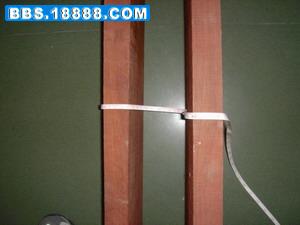 DSC04440.jpg