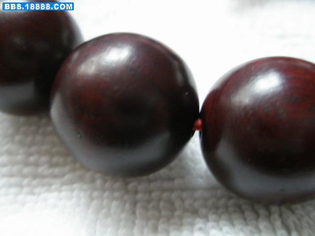 小叶细节2.JPG