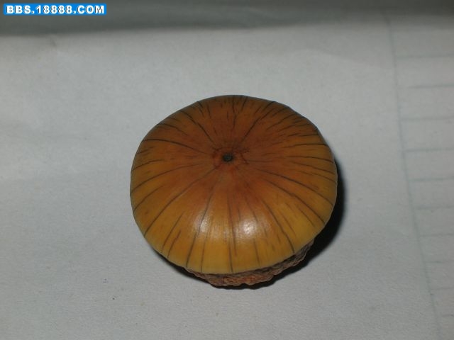 照片 014_nEO_IMG.jpg
