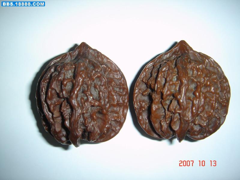 4.JPG