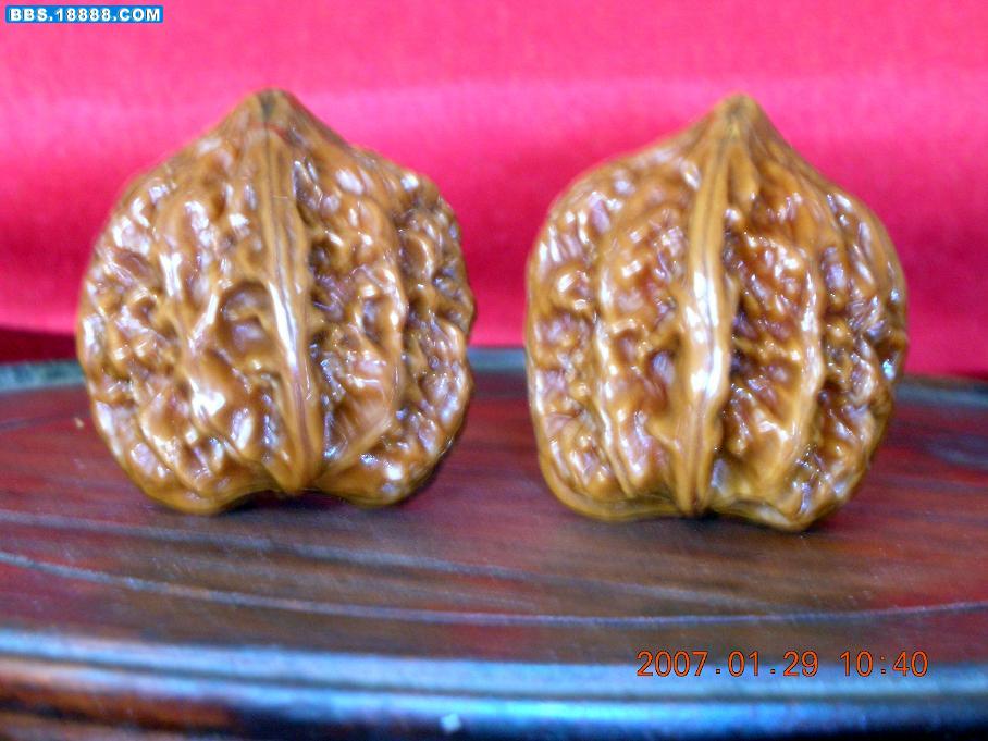 DSCN0762.JPG