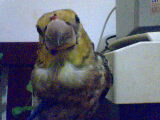IMG0022A.jpg