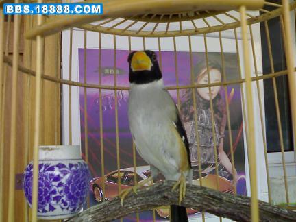20070321074.jpg