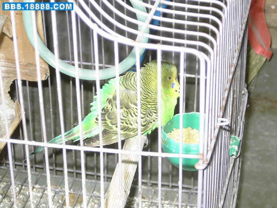 PICT1234 副本.jpg