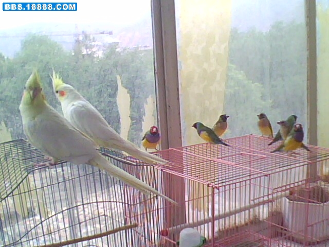 IMG0574A.jpg