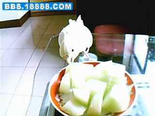 图片 017.jpg