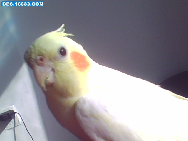 IMG0233A.jpg