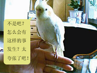 3.gif