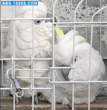 {4791953F-8664-4BD0-B1FC-EF0217A4370B}.JPG