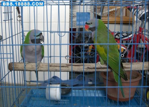 {02F8B674-86DB-44CD-B444-66D86119D3C3}.JPG