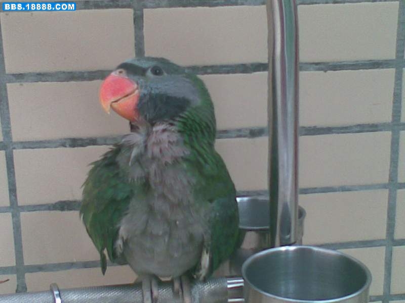 20080525191.jpg