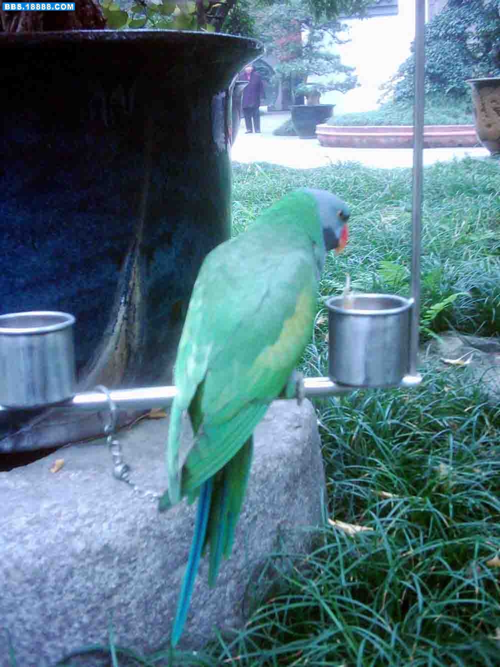 15.jpg