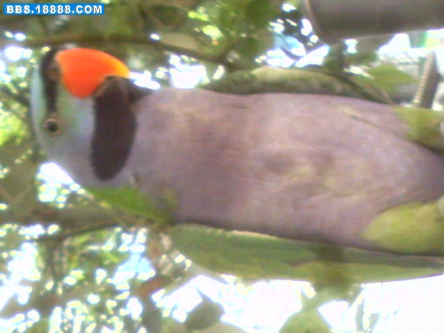 photo004.jpg