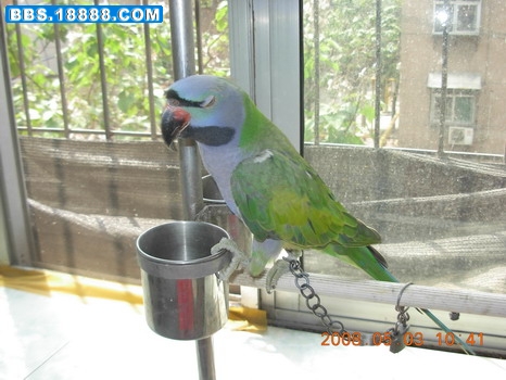 DSCN2105.JPG