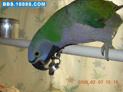 DSCN1731_缩小大小.JPG