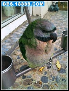 fjssc 2.jpg