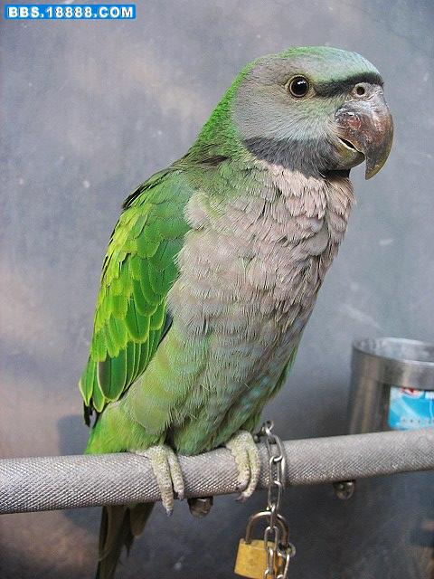 nEO_IMG_IMG_5622.jpg