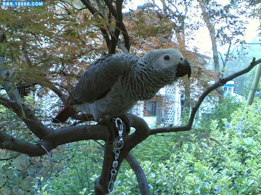 20080408(003).jpg