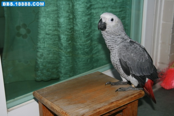 IMG_0114_调整大小.JPG